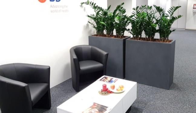 Hochwertige Kunstpflanzen in grauen, hohen Töpfen, die als Raumteiler in einem Büro dienen.