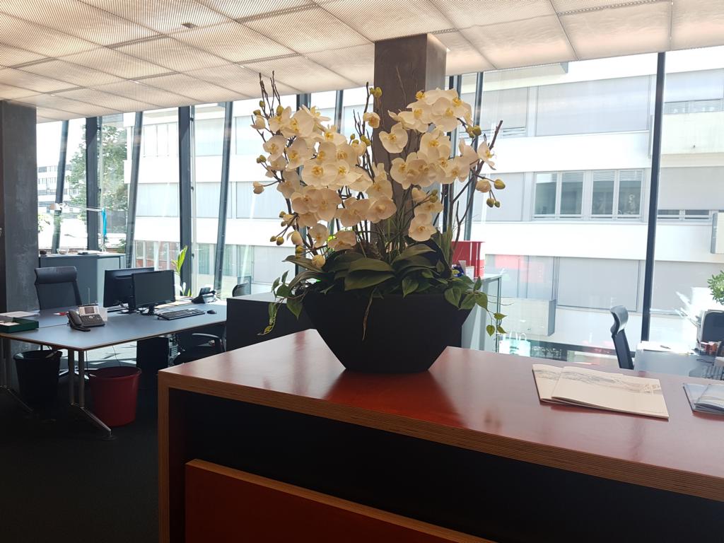 Innenbegrünung mit Kunstblumen Gesteck in Büro.