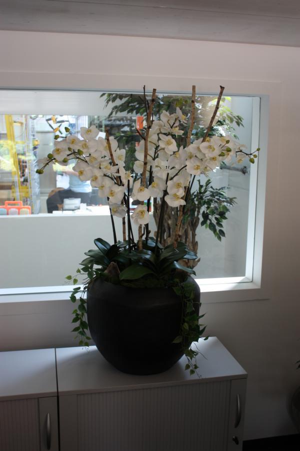 Künstliche Orchideen arrangiert in einem Pflanzgefäss als Innendekoration in einem Büro.