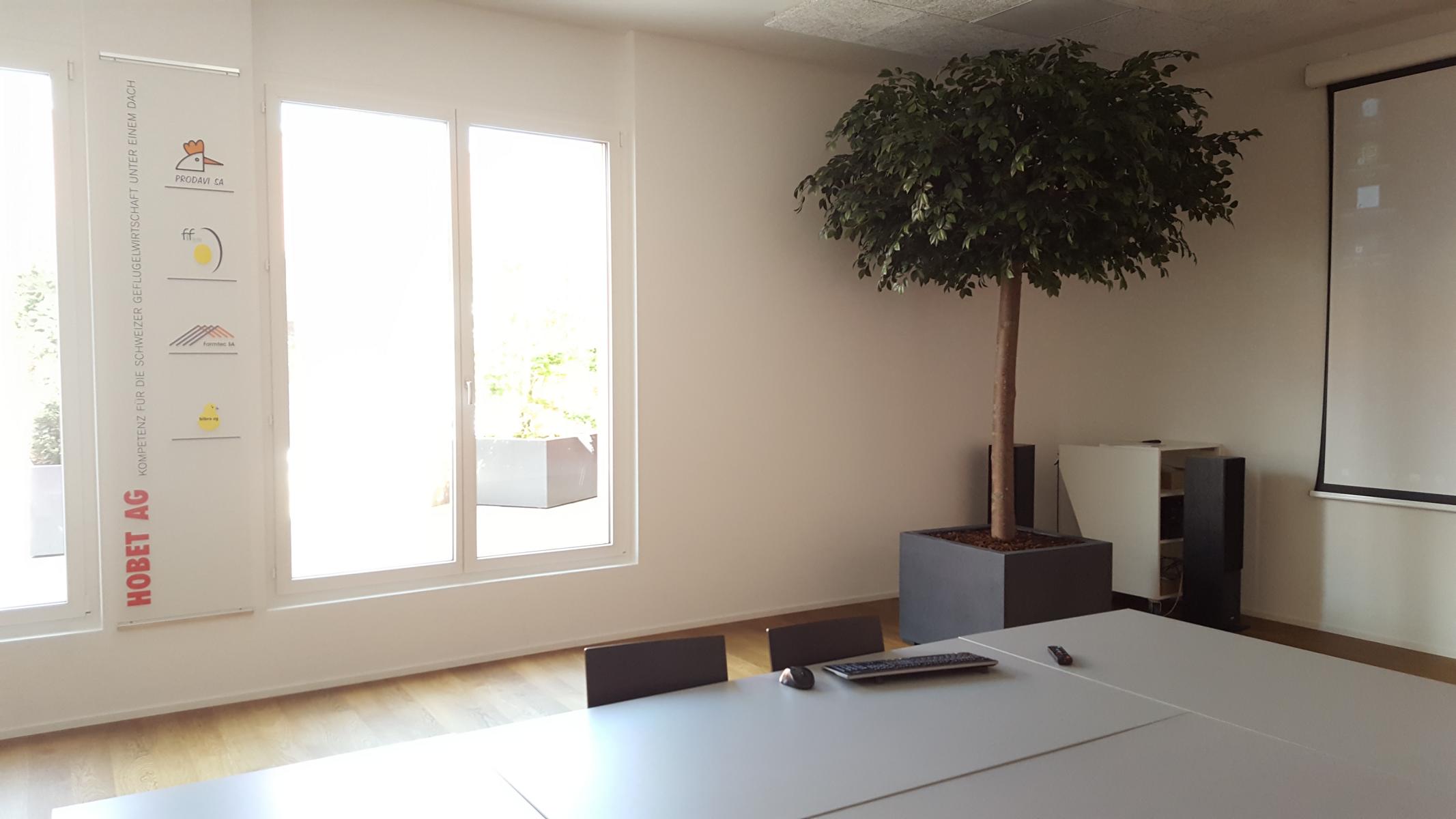 Grosser Apfelbaum Kunstbaum in einem Büro als Begrünung Innen.
