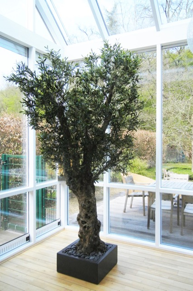 Begrünung Innen in Wohnzimmer mit grosser, künstlicher Olivenbaum.