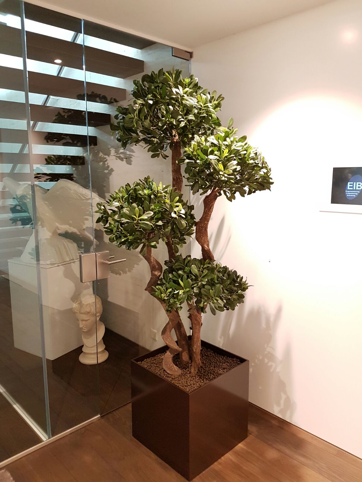 Begrünung im Innenbereich mit einem exklusiven Podocarpus Kunstbaum.