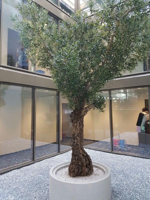 Begrünung Büro mit grossem Kunstbaum.